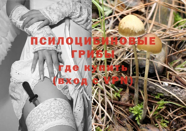 кокс Беломорск