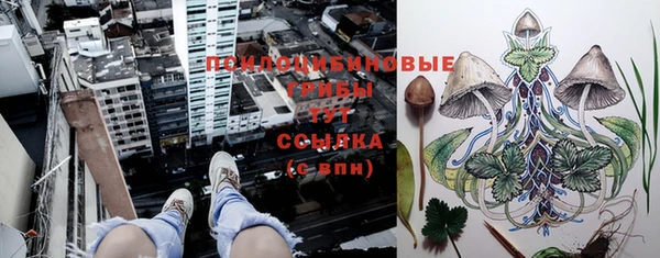хмурый Белоозёрский